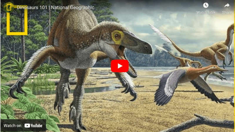 14 Dino-mite Dinosaur Videos To Share in Your Classroom